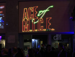 Ace Of Mice